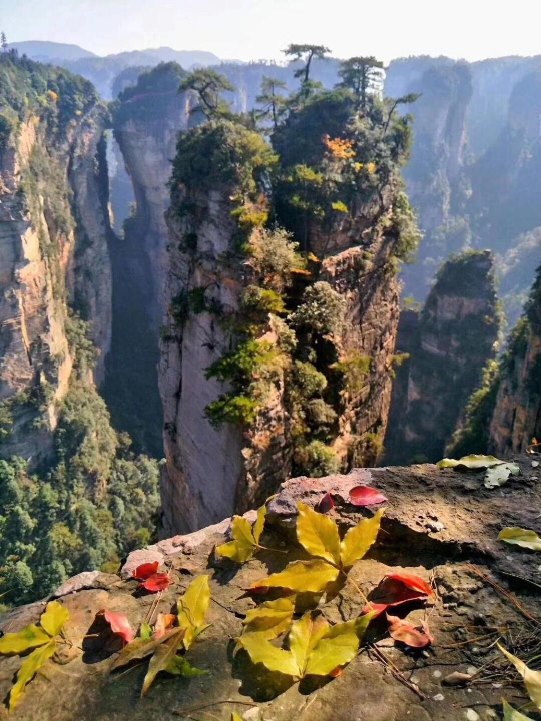 Tongfu Inn Чжанцзяцзе Экстерьер фото