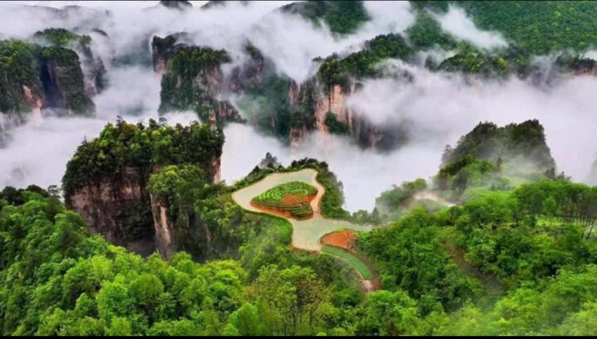 Tongfu Inn Чжанцзяцзе Экстерьер фото